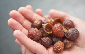 Eco-friendly laundry detergent soap berries